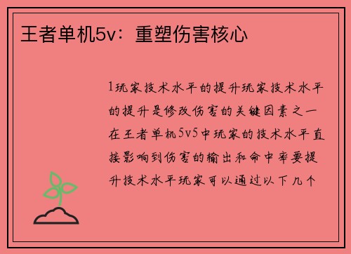 王者单机5v：重塑伤害核心